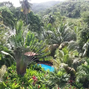 Ti Plèn Kréol Hébergement de vacances Pointe-Noire